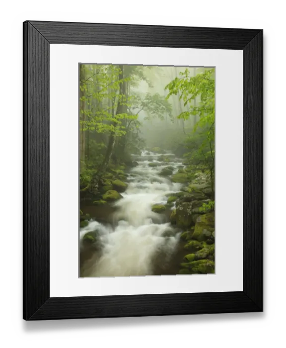 Framed Print : North America, USA, Tennessee; Stream in the fog at Roaring Fork Trail in the Smokies