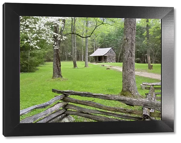Carter Shields Cabin in spring, Cades Cove area, Great Smoky Mountains National Park, TN