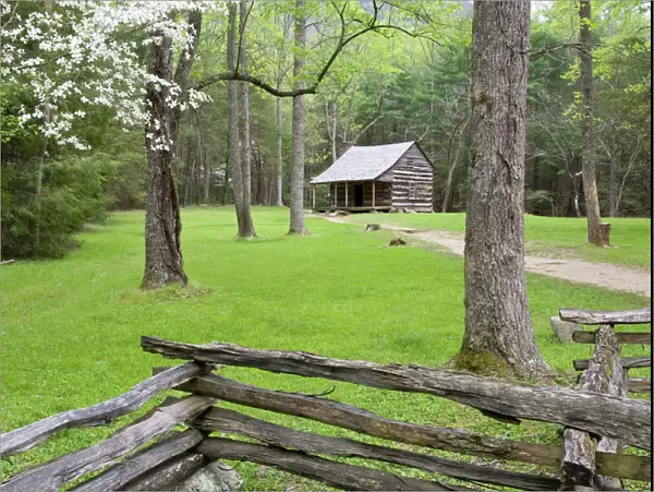 Carter Shields Cabin in spring, Cades Cove area, Great Smoky Mountains National Park, TN