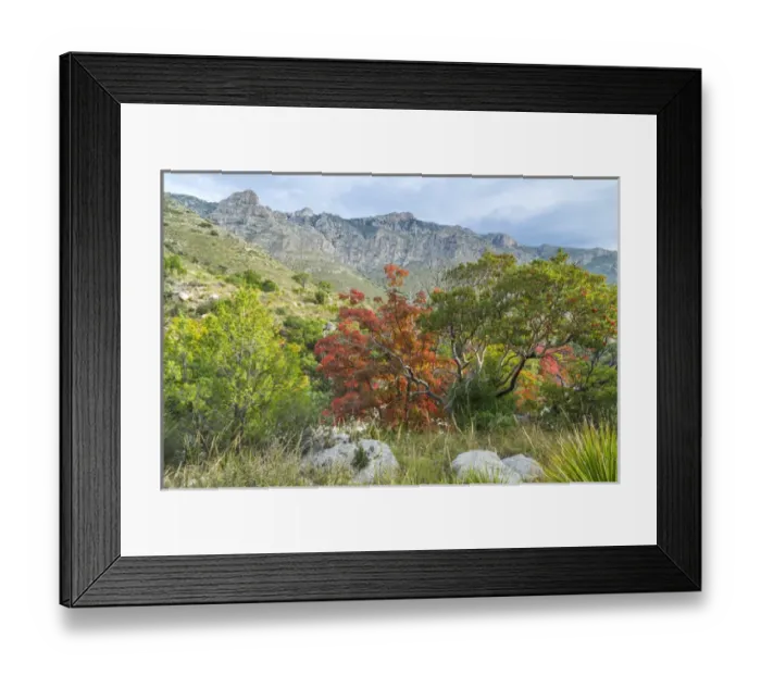 Framed Print : USA, Texas, Guadalupe Mountains National Park. Landscape of Devils Hall Trail Framed Print : USA, Texas, Guadalupe Mountains National Park. Landscape of Devils Hall Trail