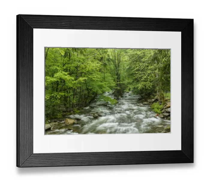 Framed Print : Middle Prong in spring, Great Smoky Mountains National Park, Tennessee Framed Print : Middle Prong in spring, Great Smoky Mountains National Park, Tennessee