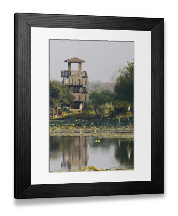 Framed Print : Brazos Bend State Park and wetlands near Houston Framed Print : Brazos Bend State Park and wetlands near Houston
