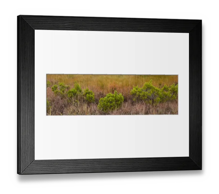 Framed Print : USA, Texas, Guadalupe Mountains National Park. Panoramic of bushes and grasses. Credit as