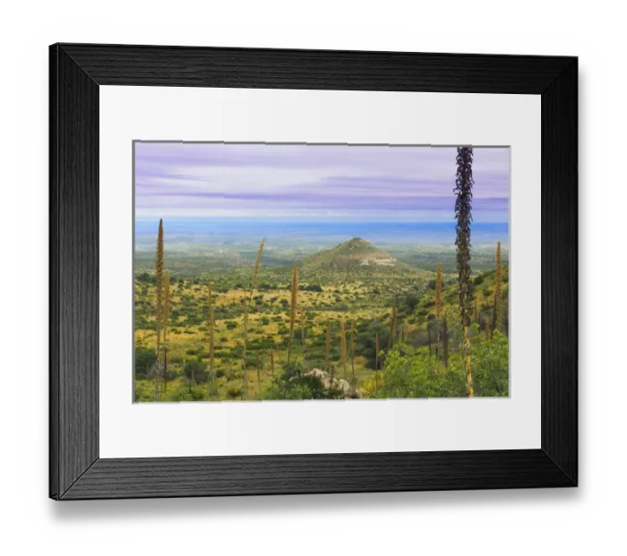 Framed Print : USA, Texas, Guadalupe Mountains National Park. Landscape with small mountain. Credit as Framed Print : USA, Texas, Guadalupe Mountains National Park. Landscape with small mountain. Credit as