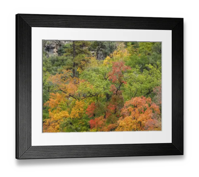 Framed Print : USA, Texas, Guadalupe Mountains National Park. Scenic of McKittrick Canyon. Credit as Framed Print : USA, Texas, Guadalupe Mountains National Park. Scenic of McKittrick Canyon. Credit as