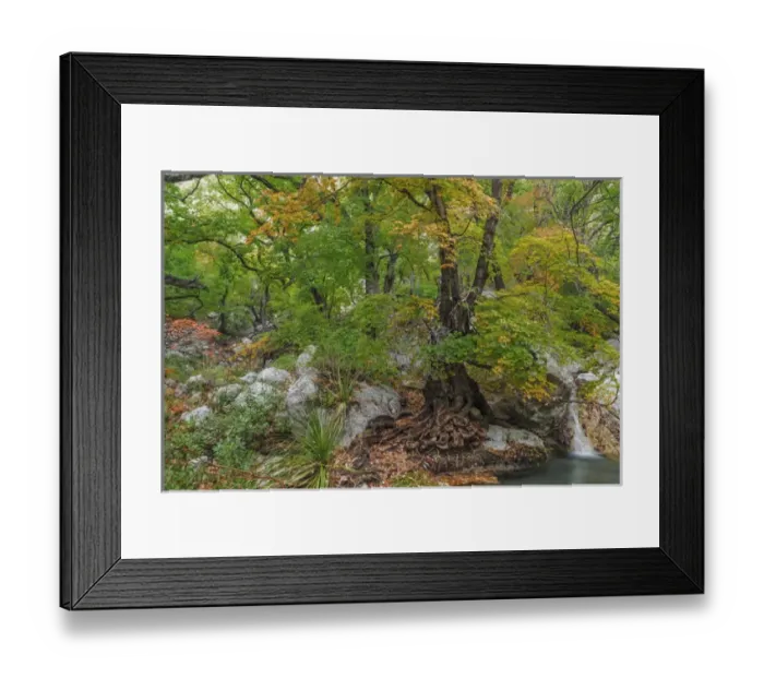 Framed Print : USA, Texas, Guadalupe Mountains National Park. Scenic of Smith Spring. Credit as Framed Print : USA, Texas, Guadalupe Mountains National Park. Scenic of Smith Spring. Credit as