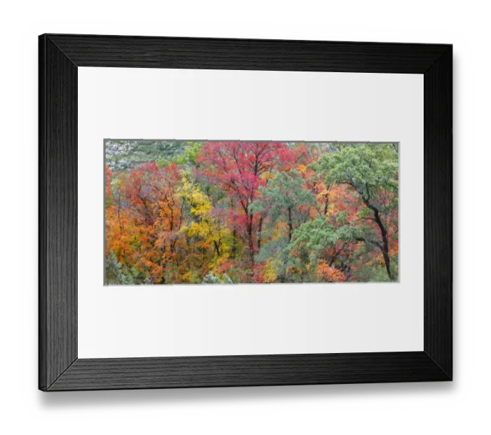 Framed Print : USA, Texas, Guadalupe Mountains National Park. Composite panoramic of McKittrick Canyon Framed Print : USA, Texas, Guadalupe Mountains National Park. Composite panoramic of McKittrick Canyon