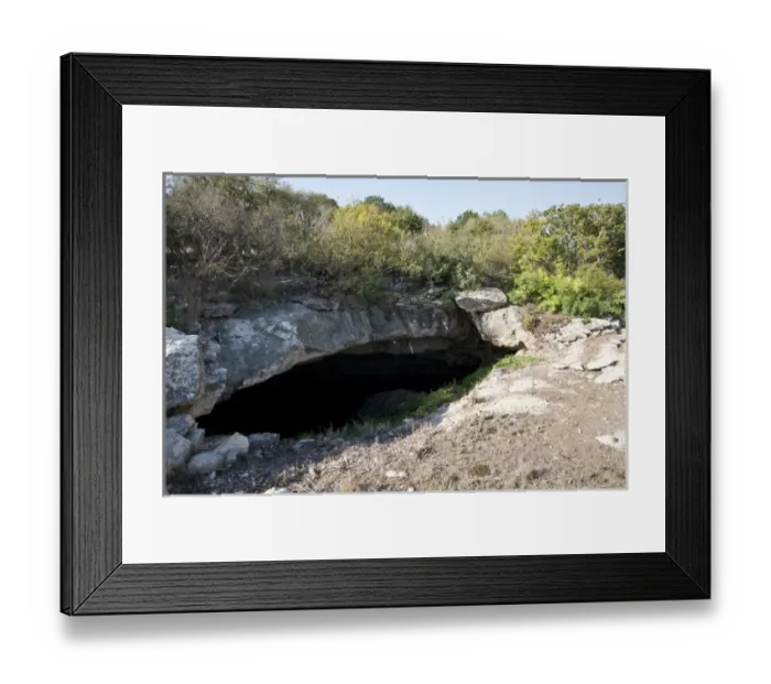 Framed Print : Mexican Free-tailed Bats (Tadarida brasiliensis) going into Stuart Bat Cave at Kickapoo Framed Print : Mexican Free-tailed Bats (Tadarida brasiliensis) going into Stuart Bat Cave at Kickapoo