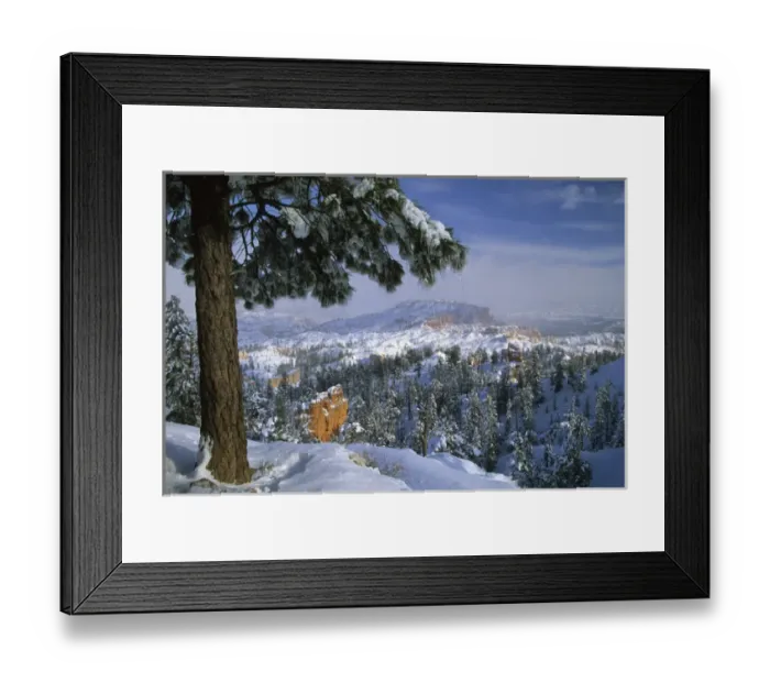 Framed Print : USA, Utah, Bryce Canyon in Winter. Credit as: Nancy Rotenberg / Jaynes Gallery / DanitaDelimont Framed Print : USA, Utah, Bryce Canyon in Winter. Credit as: Nancy Rotenberg / Jaynes Gallery / DanitaDelimont
