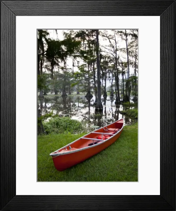 Framed Print : Canoe by Caddo Lake, Texass largest natural lake Framed Print : Canoe by Caddo Lake, Texass largest natural lake