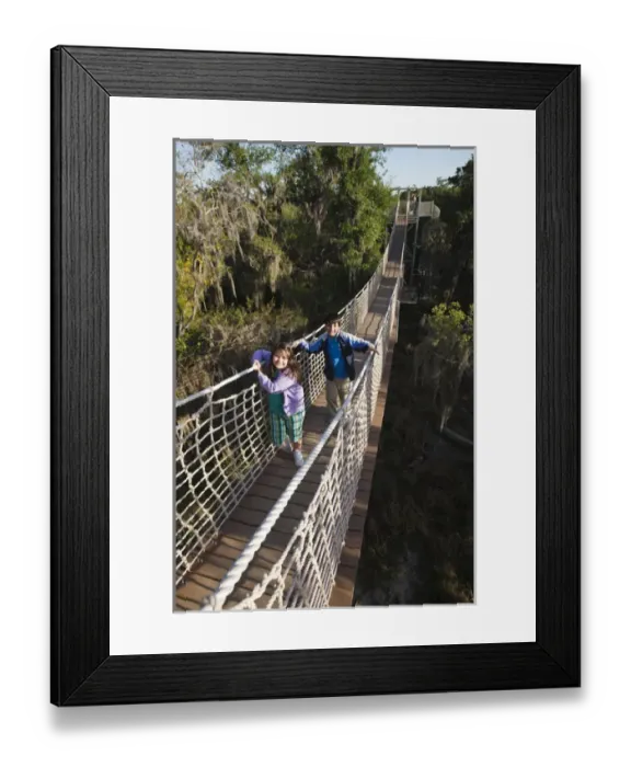 Framed Print : Canopy walk in riparian forest at Santa Ana National Wildlife Refuge, Texas Framed Print : Canopy walk in riparian forest at Santa Ana National Wildlife Refuge, Texas