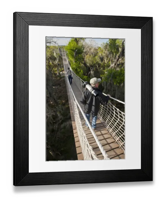Framed Print : Canopy walk in riparian forest at Santa Ana National Wildlife Refuge, Texas Framed Print : Canopy walk in riparian forest at Santa Ana National Wildlife Refuge, Texas