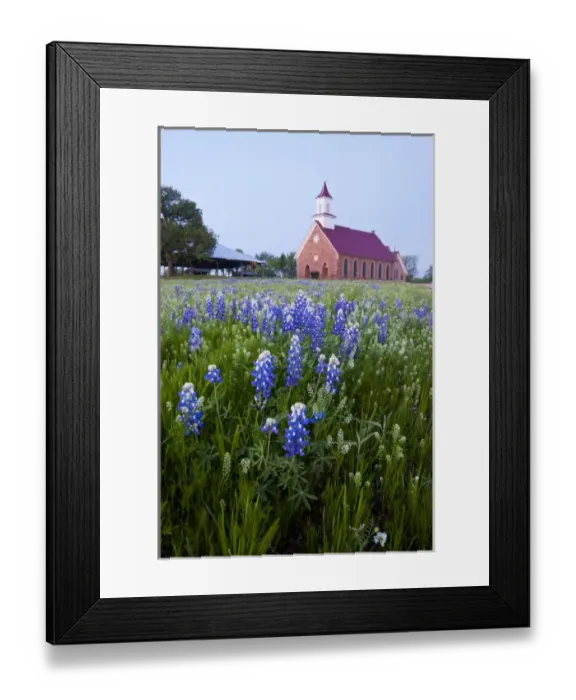 Framed Print : Art Methodist Church and bluebonnets near Mason, Texas