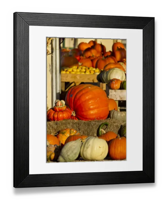 Framed Print : Farmers Market, autumn in Luling, Texas Framed Print : Farmers Market, autumn in Luling, Texas