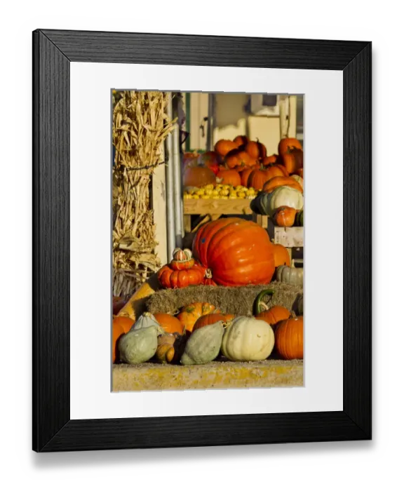 Framed Print : Farmers Market, autumn in Luling, Texas Framed Print : Farmers Market, autumn in Luling, Texas