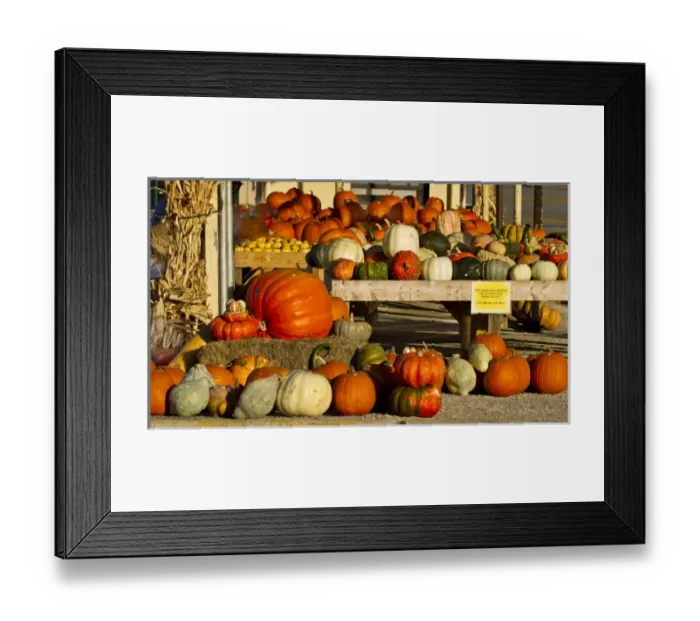 Framed Print : Farmers Market, autumn in Luling, Texas Framed Print : Farmers Market, autumn in Luling, Texas