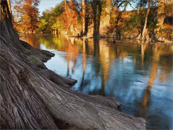 Guadalupe River, Texas hill country, autumn