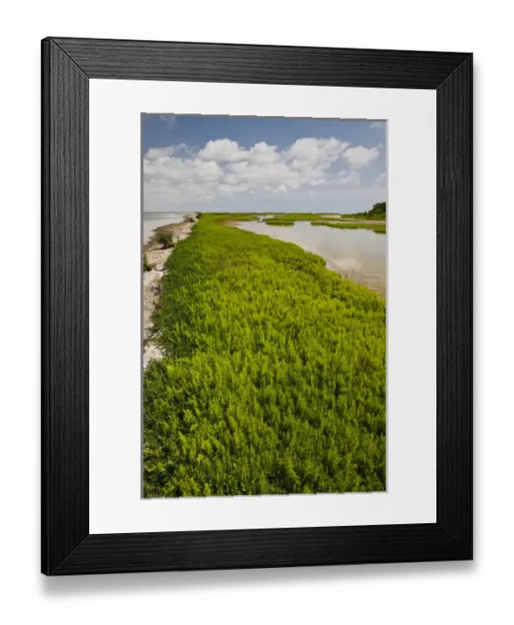 Framed Print : Green Island Sanctuary on the Laguna Madre, Texas coast Framed Print : Green Island Sanctuary on the Laguna Madre, Texas coast