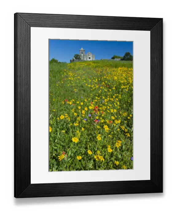 Framed Print : Wildflowers at Presidio La Bahia, Goliad, Texas Framed Print : Wildflowers at Presidio La Bahia, Goliad, Texas