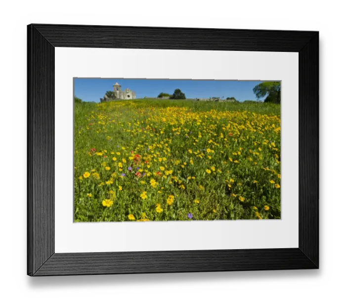 Framed Print : Wildflowers at Presidio La Bahia, Goliad, Texas Framed Print : Wildflowers at Presidio La Bahia, Goliad, Texas