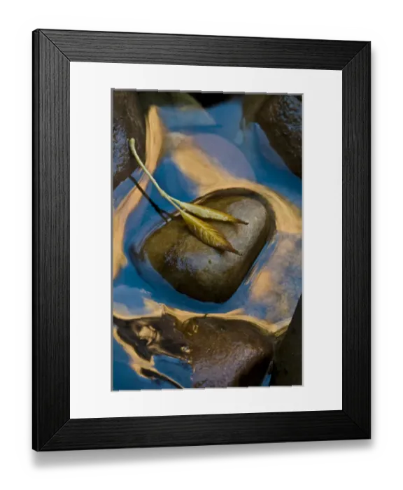 Framed Print : USA, Utah, Zion National Park. Leaf on rock in water Framed Print : USA, Utah, Zion National Park. Leaf on rock in water