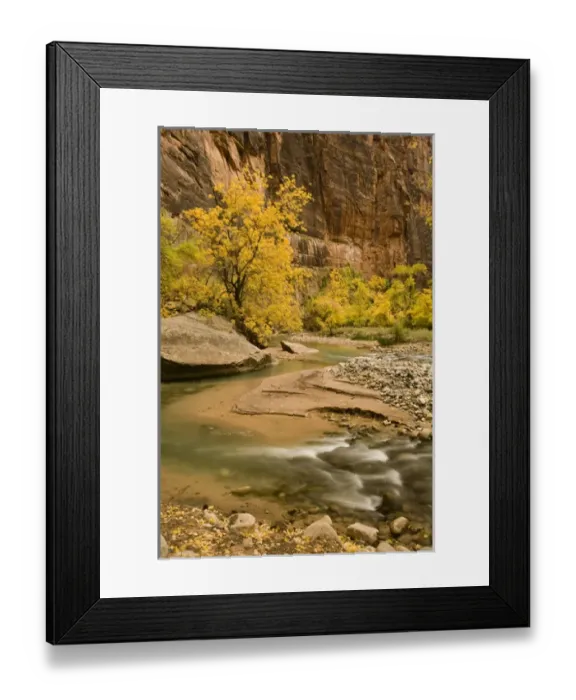 Framed Print : USA, Utah, Zion National Park. Virgin River autumn scenic Framed Print : USA, Utah, Zion National Park. Virgin River autumn scenic