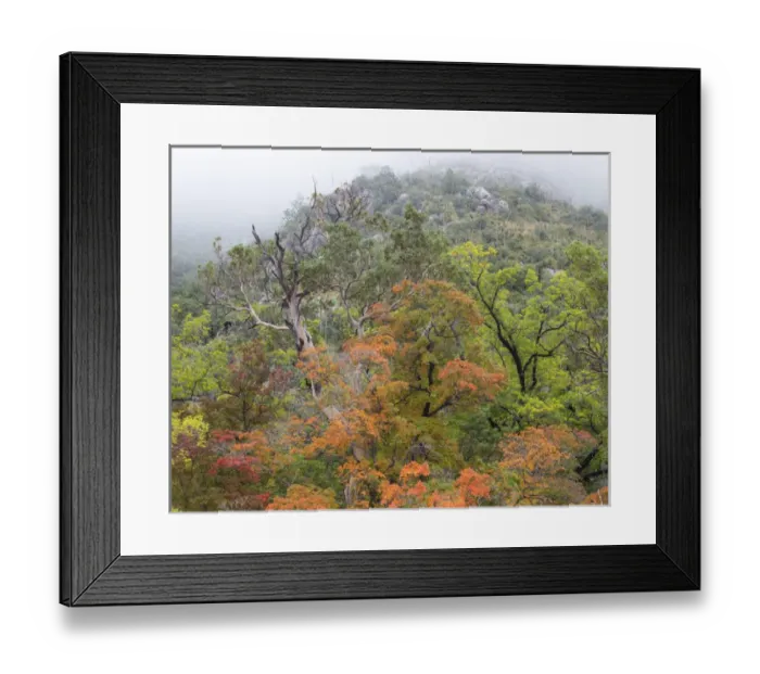 Framed Print : USA, Texas, Guadalupe Mountains National Park. Landscape of McKittrick Canyon. Credit as Framed Print : USA, Texas, Guadalupe Mountains National Park. Landscape of McKittrick Canyon. Credit as