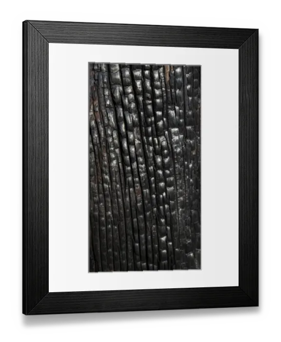 Framed Print : USA, Texas, Guadalupe Mountains National Park. Close-up of burnt tree trunk. Credit as