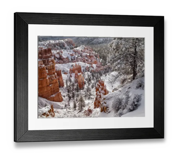 Framed Print : USA, Utah, Bryce Canyon National Park, Winter morning near Sunrise Point after fresh Framed Print : USA, Utah, Bryce Canyon National Park, Winter morning near Sunrise Point after fresh