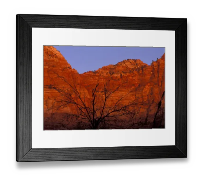 Framed Print : USA, Utah, Zion National Park. Silhouette of barren tree against red rock wall lit by setting sun Framed Print : USA, Utah, Zion National Park. Silhouette of barren tree against red rock wall lit by setting sun
