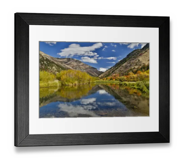 Framed Print : Cottonwoods, Maple and oak trees in fall color along Logan River, Utah, in the Wasatch Framed Print : Cottonwoods, Maple and oak trees in fall color along Logan River, Utah, in the Wasatch