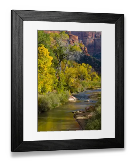 Framed Print : USA, Utah, Zion National Park. Virgin River and cottonwood trees in autumn. Credit as Framed Print : USA, Utah, Zion National Park. Virgin River and cottonwood trees in autumn. Credit as