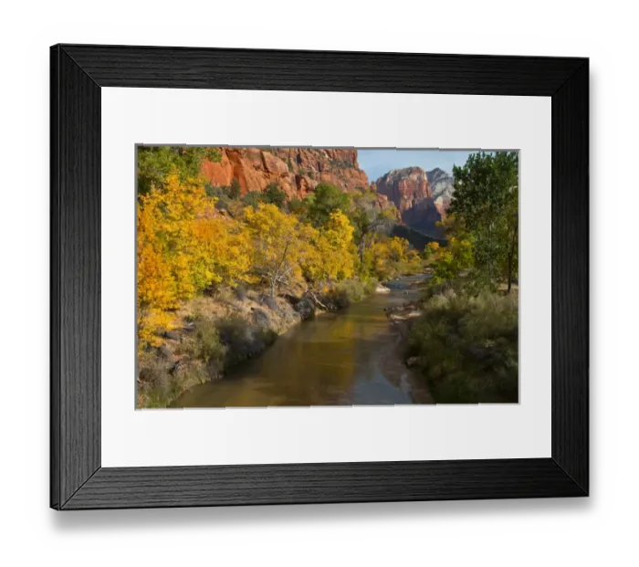 Framed Print : USA, Utah, Zion National Park. Zion Canyon and Virgin River lined with cottonwood trees Framed Print : USA, Utah, Zion National Park. Zion Canyon and Virgin River lined with cottonwood trees