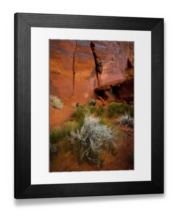 Framed Print : USA, Utah. Reddish rock face and vegetation Framed Print : USA, Utah. Reddish rock face and vegetation