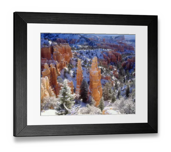 Framed Print : USA; Utah; Bryce Canyon National Park; Winter Framed Print : USA; Utah; Bryce Canyon National Park; Winter