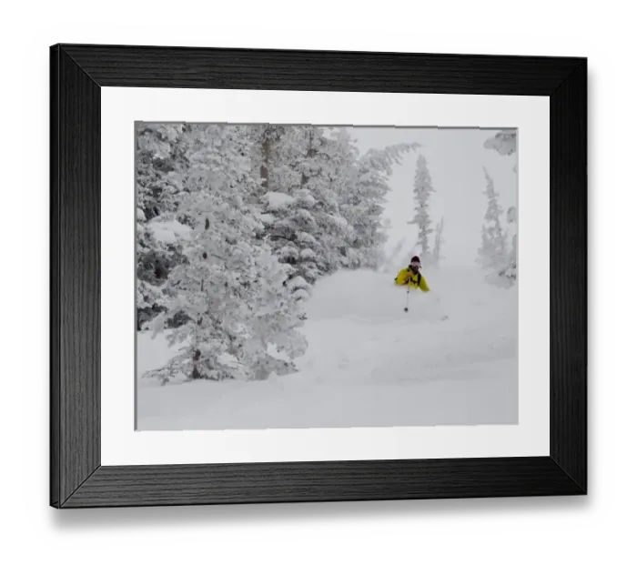 Framed Print : Man skiing through rimed aspen and evergreen trees in a snow storm near Gobblers Knob Framed Print : Man skiing through rimed aspen and evergreen trees in a snow storm near Gobblers Knob
