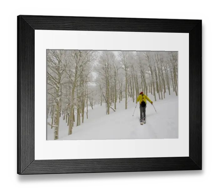 Framed Print : Man climbing through rimed aspen trees in a snow storm near Gobblers Knob, backcountry skiing