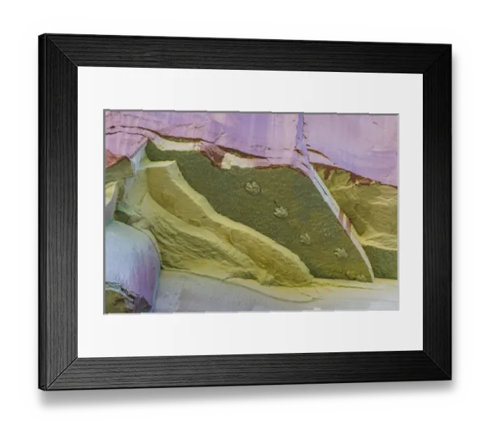 Framed Print : USA, Utah, Glen Canyon National Recreation Area. Dinosaur tracks on rock face. Credit as Framed Print : USA, Utah, Glen Canyon National Recreation Area. Dinosaur tracks on rock face. Credit as