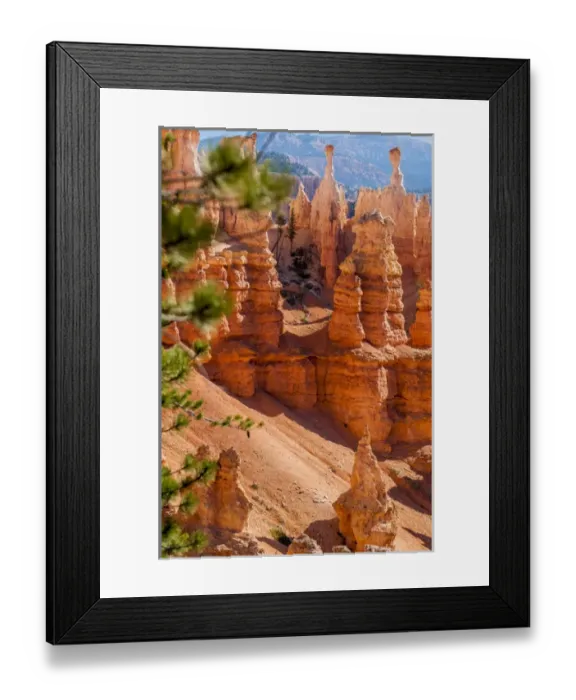 Framed Print : Bryce Canyon National Park Utah, USA Framed Print : Bryce Canyon National Park Utah, USA