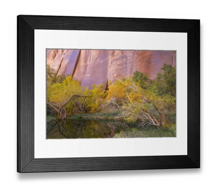 Framed Print : USA, Utah, Glen Canyon National Recreation Area. An oasis in Forest Cove. Credit as Framed Print : USA, Utah, Glen Canyon National Recreation Area. An oasis in Forest Cove. Credit as