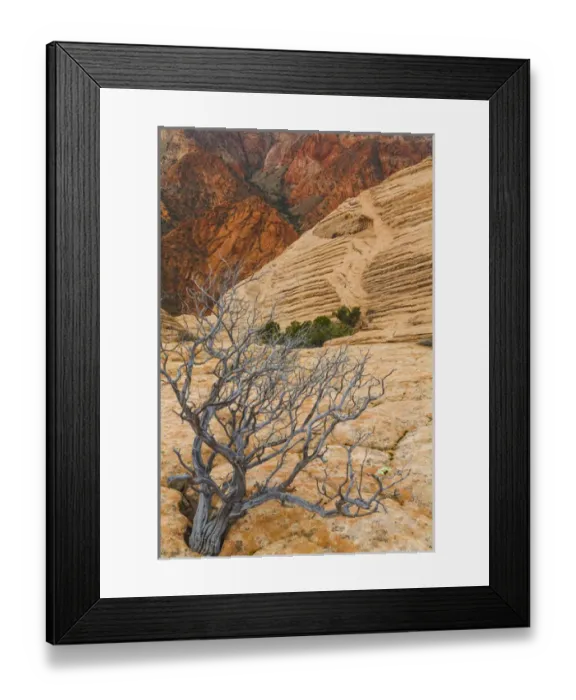 Framed Print : USA, Utah. Landscape in Dixie National Forest Framed Print : USA, Utah. Landscape in Dixie National Forest
