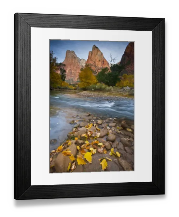 Framed Print : USA, Utah, Zion National Park. The Sentinel with fallen leaves in Virgin River. Credit as Framed Print : USA, Utah, Zion National Park. The Sentinel with fallen leaves in Virgin River. Credit as