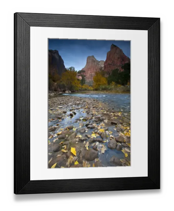 Framed Print : USA, Utah, Zion National Park. The Sentinel with fallen leaves in Virgin River. Credit as Framed Print : USA, Utah, Zion National Park. The Sentinel with fallen leaves in Virgin River. Credit as