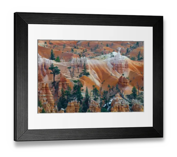 Framed Print : USA, Utah. Hoodoo formations in Bryce Canyon National Park
