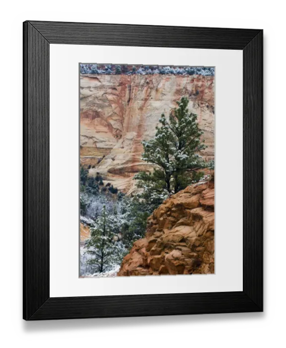 Framed Print : USA, Utah, Zion National Park. Winter scenic Framed Print : USA, Utah, Zion National Park. Winter scenic
