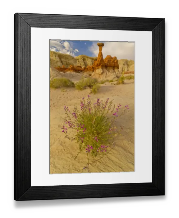 Framed Print : North America, USA, Utah, Grand Staircase Escalante National Monument Framed Print : North America, USA, Utah, Grand Staircase Escalante National Monument