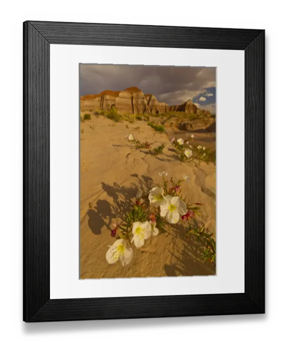 Framed Print : USA, Utah, Grand Staircase Escalante National Monument Framed Print : USA, Utah, Grand Staircase Escalante National Monument