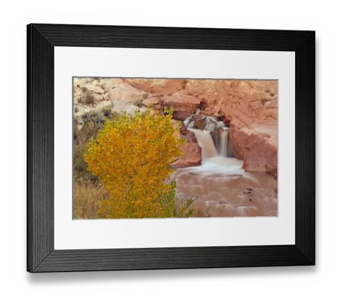 Framed Print : USA, Utah, Capitol Reef National Park. Autumn waterfall on the Fremont River. Credit as