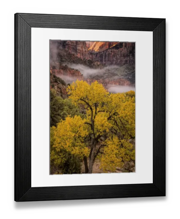 Framed Print : USA, Utah, Zion National Park. Foggy autumn landscape Framed Print : USA, Utah, Zion National Park. Foggy autumn landscape