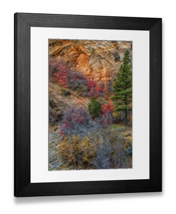 Framed Print : USA, Utah, Zion National Park. Autumn scenic